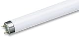 MASTER TL-D Super 80 63207440 Tubo fluorescente, 36 W, 865