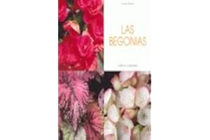 Las begonias
