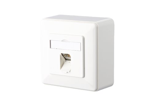 BTR E-Dat C6 8(8) AP RW Anschlußdose weiß