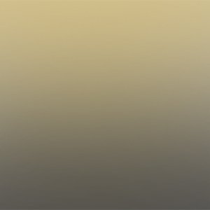 kwmobile Funda para Huawei P9 - Case para m vil en TPU silicona - Cover trasero Dise o Degrade de colores met licos en antracita dorado kwmobile Funda para Huawei P9 - Case para m vil en TPU silicona - Cover trasero Dise o Degrade de colores met licos en antracita dorado