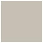 Canford Paper 20.5X30.5 Mist
