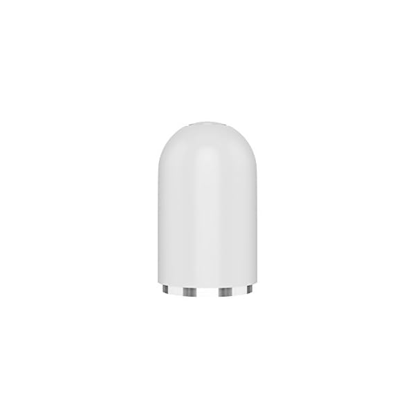 TechMatte Kappe, Magnetische Ersatzkappe und Halter für Apple Pencil (1 Stück, Weiß)