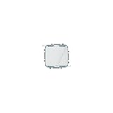  Tapa ciega blanco