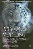 Polygonal Modeling: Basic and Advanced Techniques (Worldwide Game and Graphics Library) by 