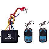 LIEBMAYA Kit de control remoto inalámbrico para camión Jeep ATV Winch 12V - con dos mandos a distancia de llavero