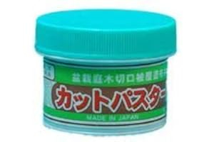 BONSAI2U Bonsai cut paste for evergreen trees - 160grm