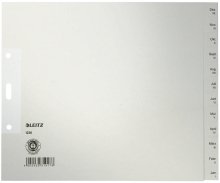 Preisvergleich Produktbild Leitz 1230 Monatsregister A4 Jan-Dez Tauen