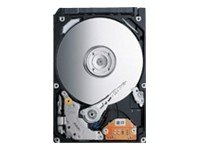 Toshiba MK3276GSX HardDisk