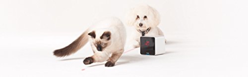 Petcube-Interactive-Wi-Fi-Pet-Camera