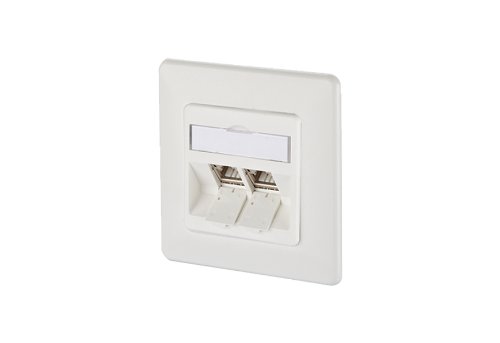 BTR 130B12D21002-E Datendose C6Amodul 2 Port 270°M UP Unterputz, reinweiß