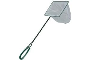 BZB Pond Dipping Net / Rockpool Net - 36cm length