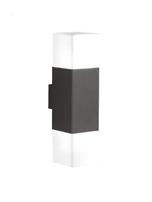 TRIO, Applique, Hudson incl. 2 x LED,E14,4,0 Watt,3000K,320 Lm. Plastique, Blanc, Corps: Fonte daluminium, Anthracite L:8,5cm, H:33,0cm, P:11,0cm IP44,Point lumineux en haut et en bas