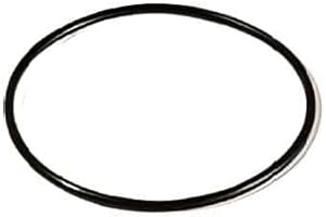 ORION TRAITEMENT D'EAU Joint pour filtre PROTEO