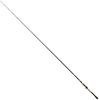 G.Loomis E6XT 7'1" MH Jig & Worm Casting Rod 853CJWR (12172-01)