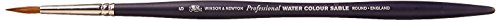 Winsor and Newton Artists Watercolour Sable Brush Round Size 5