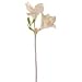 Produktbild Amaryllis, 2 Blüten, 54 cm - Weiß (künstlich)