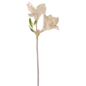 Preisvergleich Produktbild Amaryllis, 2 Blüten, 54 cm - Weiß (künstlich)