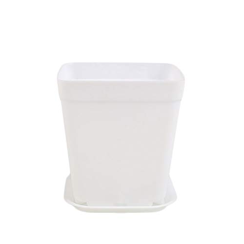 Flowers Plant Pots - Mini Matte Surface Suqare Shape Modern Planters for Succulents, Cactus, Flower Planting, with Drainage Hole and Tray