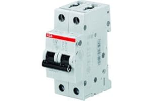 S598378 - ELETTROCONDUTT.(ABB SPA) &&& S598378 S201L NA C10 INT AUT 4.5KA 1P+N