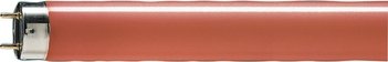 Preisvergleich Produktbild Philips Lampen Leuchtstofflampe TL-D 18W / 15 EAN: 8711500726841