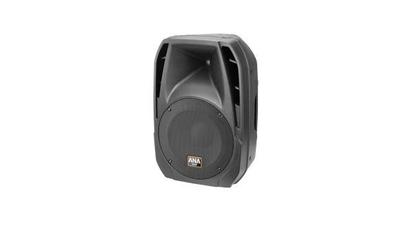 SPEAKERS 300W VX-300 : Amazon.in 