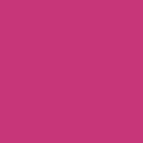 Sparvar 6094106 Lackspray RAL 4010, glänzend, 400 ml, telemagenta - 2