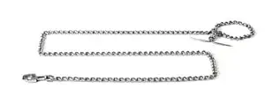 Kennel D4 - Chain No. 3 (2.5 mm) 60 inches