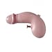 Produktbild Widmann NEU Wasserpistole Penis