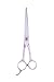 Shears Direct Filarmonica Barber Shear, Serrated Blade, 3.5 Ounce RS.8649.00