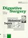 Produktbild Digestive Surgery, Vol.13/4-5, Abdominal Sepsis: International Meeting, Bern, September 1995 (Digestive Surgery, Vol. 13, No.4-5, 1996)