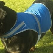 Yoko-YK180-Hi-vis-dogs-vest-HVDW15-Personalised-or-Plain