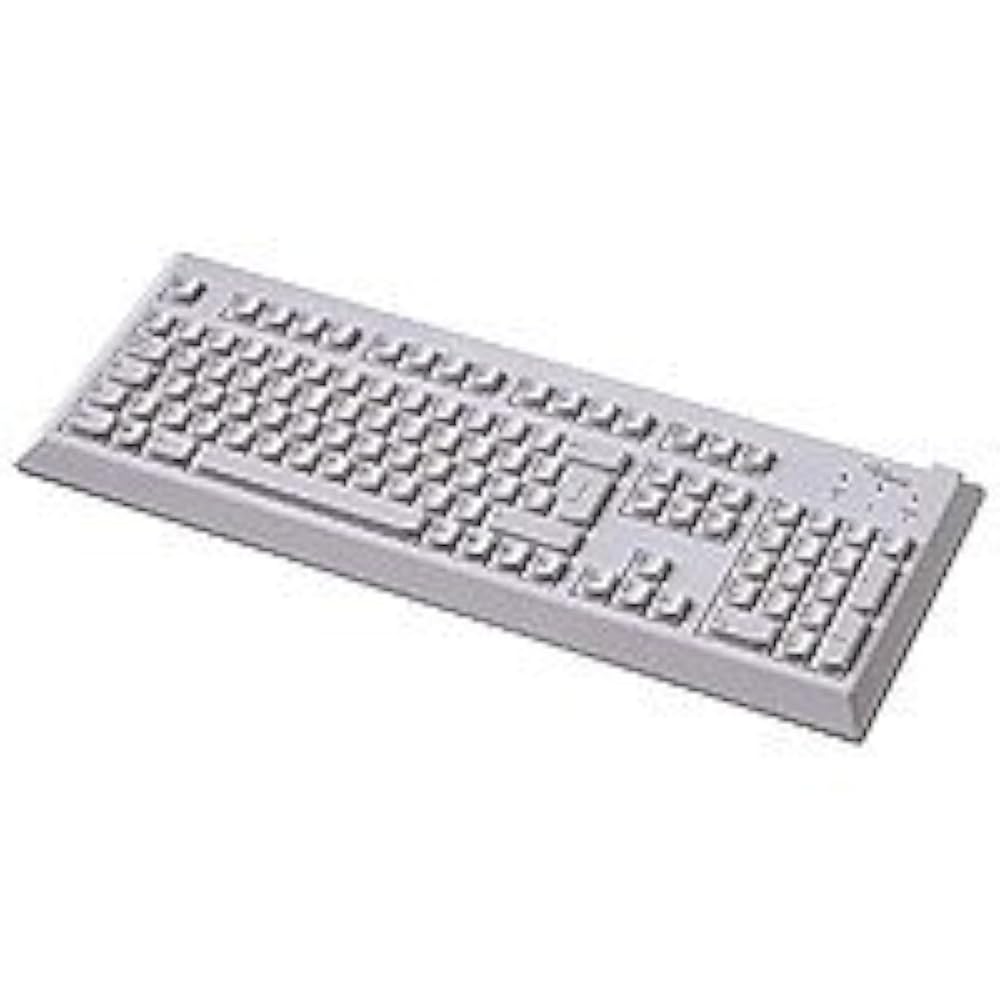 Клавиатура type x ice. Клавиатура fujitsu siemens. fujitsu siemens computers клавиатура. клавиатура fujitsu siemens старая. fujitsu siemens kbpc s262381-k340-v115.