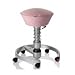 Produktbild aeris SWOPPER PLATZHIRSCH - ALPENROSE TITAN MIT ROLLEN - SWOPPH42TR