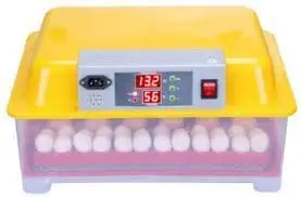 TM&W Automatic Intelligent Chicken Digital Hatching 48 Eggs Incubator (WQ-48) Yellow