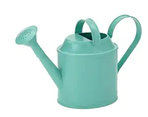 ledieu SOCKER Watering can, in/Outdoor turquoise1 l (34 oz)
