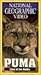 Produktbild Puma-Lion of the Andes [VHS]