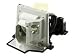 Produktbild MicroLamp Projector Lamp for Optoma 200 Watt, 2000 Hours, ML10084 (200 Watt, 2000 Hours CP705, DS302, DS303, DS603, DX602, DX603, EP706, EP706S, EP707, EP708, EP709)