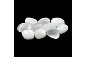 GEOFOSSILS Pietra satinata (20 – 25 mm)