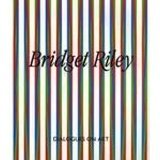 Book's Cover of Bridget Riley: Dialogues on Art