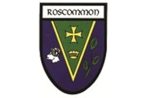 EUROSTICK Roscommon Irish County Crest Shield Car Bike Sticker Decal Northern Ireland