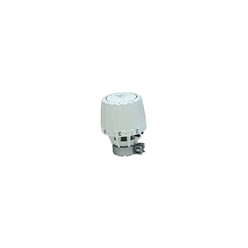 Danfoss DANFRAV2960 Service-Fühlerelement "RA/V", Hals-Innendurchmesser 34 mm