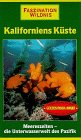 Preisvergleich Produktbild Faszination Wildnis - Kaliforniens Küste [VHS]