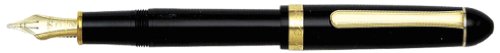 Platinum No.3776 Music Nib Fountain Pen