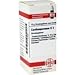 Produktbild DHU Cardiospermum D12, 10 g Globuli