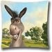 Zipper Design Donkey Shrek The Final Chapter Throw Pillowcase, 18x18 inches Pillow Sham (Twin sides) AnasaC34722