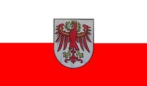 Flagge Fahne Südtirol 90x150cm