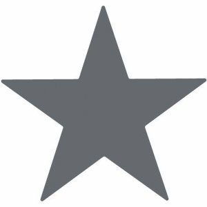 Preisvergleich Produktbild Fiskars Motivlocher Power Stanzer L Stern