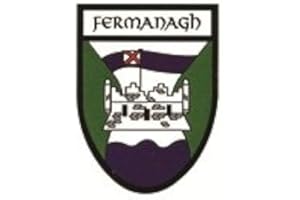 EUROSTICK Fermanagh Irish County Crest Shield Car Bike Sticker Decal Northern Ireland