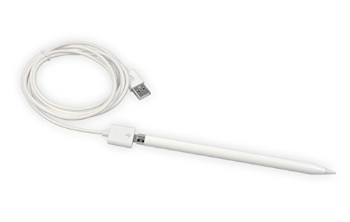 Lightning Weiblich USB Adapter Kabel - 6