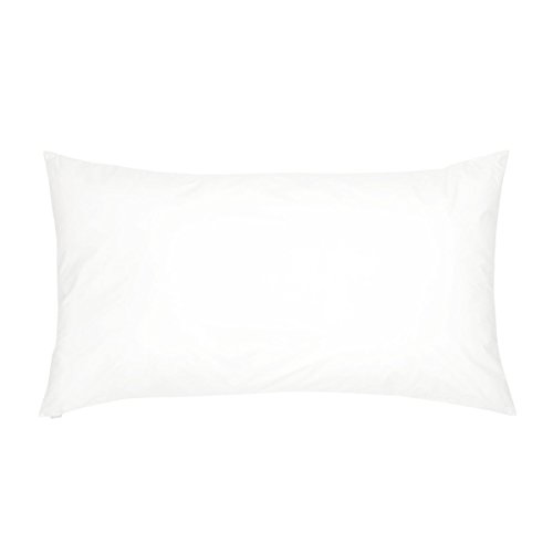 Preisvergleich Produktbild Kissenfüllung, 40 x 60 cm